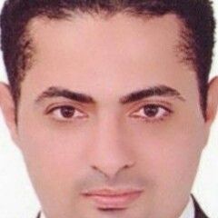 Abdulmonsef El-Bakry, Accounting Manager