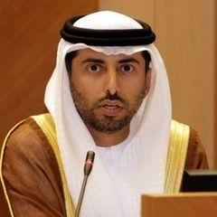 Hussain Ebrahim  Al Hammadi