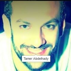Tamer Abdelhady
