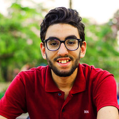 مصطفى الورداني, Senior Web Developer