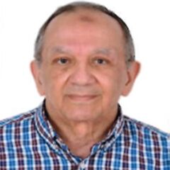 MagdiSadek Mahmoud, Distinguished Professor