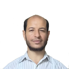 Bassem Ibrahim Mahmoud Ibrahim, Data Analyst