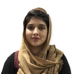 Syeda Areeba