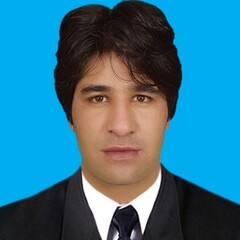 Rahim Khan, Data Analyst
