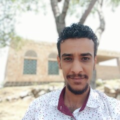 Amr Alabsi, محاسب ومراجع