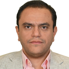 Mohamed Abdelhamed, شريك و عضو مجلس إدارة