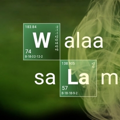 Walaa Salameh , Chemistry Teacher