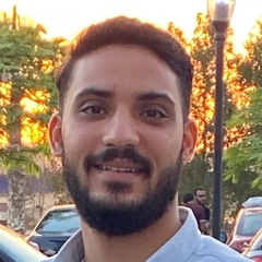 Waleed Hamdy