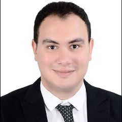 Mohamed Hassanein Hassanein , sales executive 