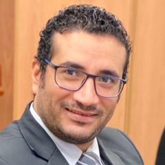 شريف محمود محمد سالم سالم, مدير خدمات ارضيه