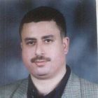 Tamer Saeed El-bagory, Freelance translator (English  Arabic)