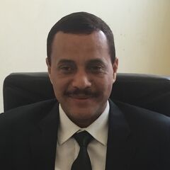 Tarek Sarhan Bekhit, Deputy CFO
