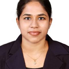 Vismaya  AS, Audit Assistant