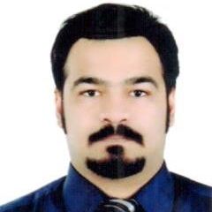 Daniyal Ashraf, Business Analyst