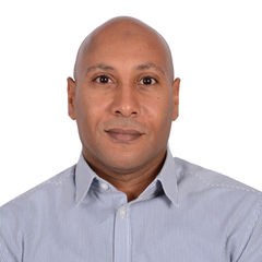 Mohamed Islam Aly Executive MBA PMP, Senior Project Engineer