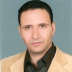 Ahmed Elmorshdy, Project Mechanical Engineer