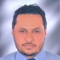 mahmoud abdel aal ali, رئيس مراجعة