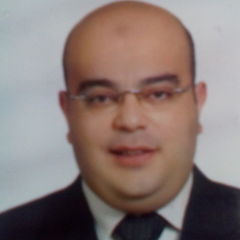 ahmed hassan mansour mansour, Property Consultants