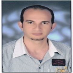 علاء-احمد-اسماعيل-الحناوى-elhenawy-12505378
