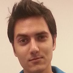 Emad Abdel Aziz Atta atta