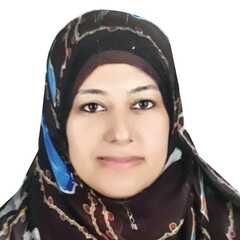 Doaa Mohammad Abdullah, transport planner