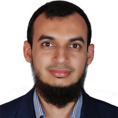 Ehtasham Elahi, Electrical Engineer