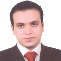 Mahmoud  Gamal Mohamed Ibrahem, Tax Accountant