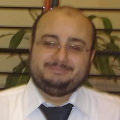 Mohamed Abdel Rahman, IS/IT Auditor