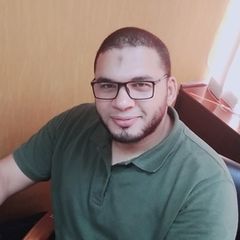Fouad Magdi Fouad, Operations Developer and Live System Support Specialist