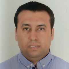 Essam Hamdy, Presales manager