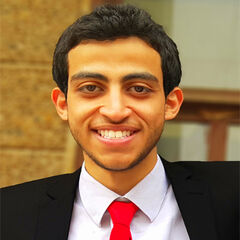 Mohammed Abdel Hakam, project manager