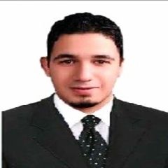 Amr EL Ghazy Lawer