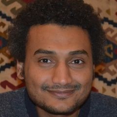 Walid Rehan, Project Manager
