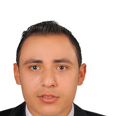 محمد حمدي محمود محمد حسنين, محاسب 