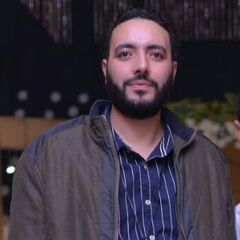 Mohamed Saleh, Data entry brogram oracle and sap