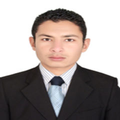 محمود نصحى محمد احمد, MEP project