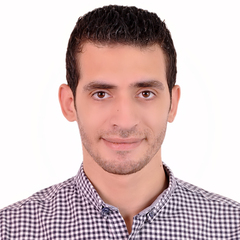 Soliman Elsayed, Application Developer