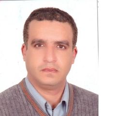 tarek abdou, مدير مشروع