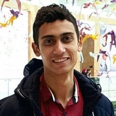 عمر مرزوق فهمي محمد حسنين, Front End Web Developer