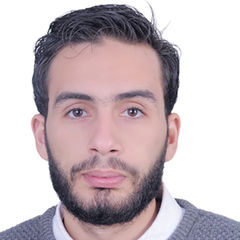 mahmoud magdy  elgharbawy, head of IT department