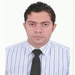 نور الدين حامد, Consultant
