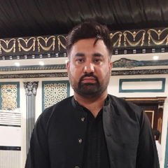 Inzamam  Ul haq
