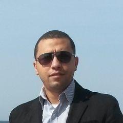 محمد مدحت عاصم, MEP Project Manager
