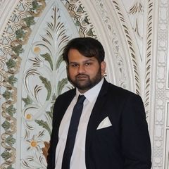 Zain Ul Abidin Rana, Business Analyst
