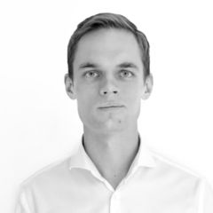 Alex Romanskiy, Management consultant