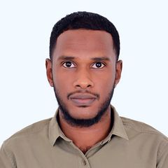 Mohamed Elamin Elamin