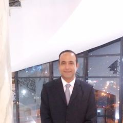 sherif deeb, Function manager