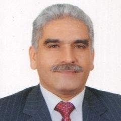 Amr Elsayed Mahmoud Assal