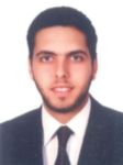 Amr Malek, Senior Financial Analyst