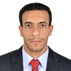 Ahmed Enayah, Sales Manager